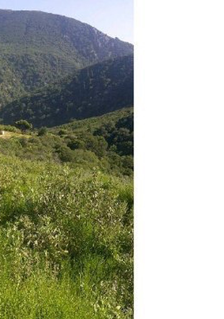 South Africa, Aids, Rape and Women's Rights