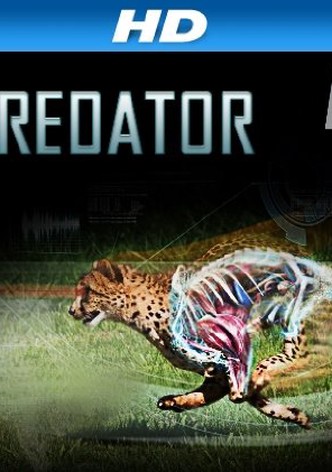 I, Predator