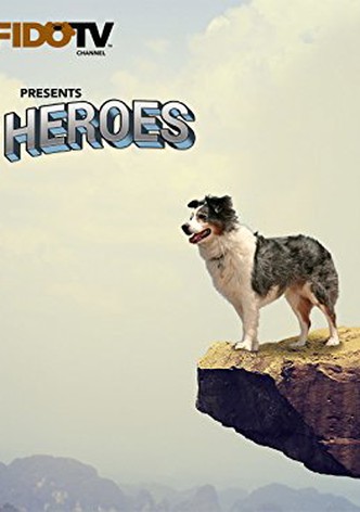 Pet Heroes