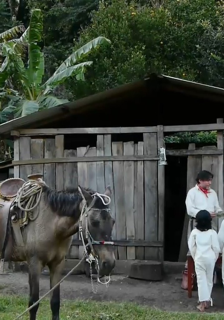 La Soledad y El Olvido