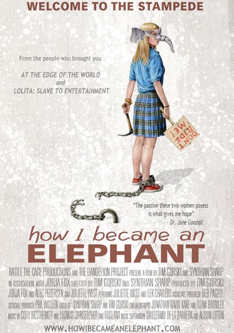 How I Became An Elephant