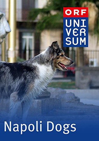 Napoli Dogs