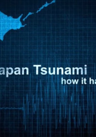 Japan Tsunami: How It Happened