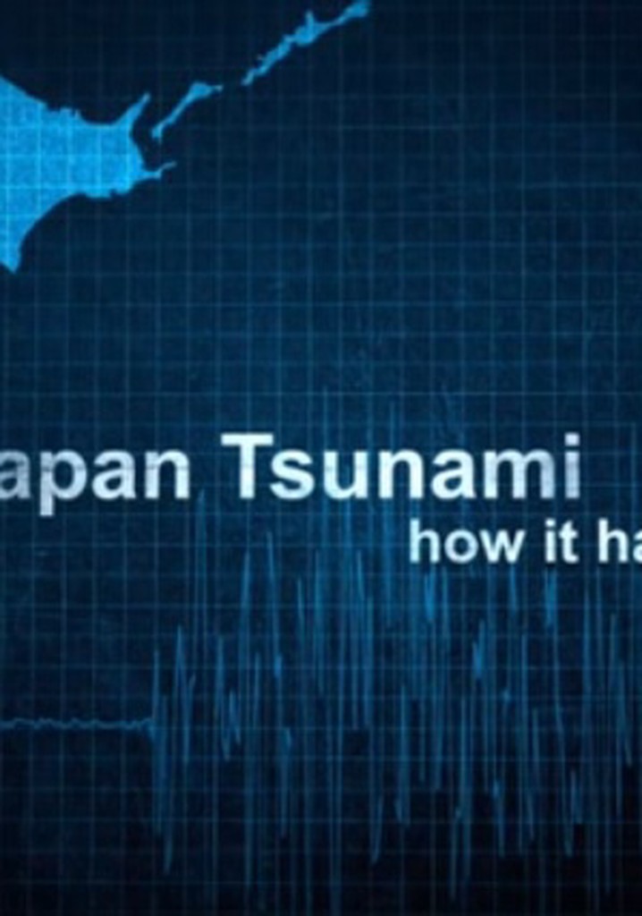 Japan Tsunami: How It Happened
