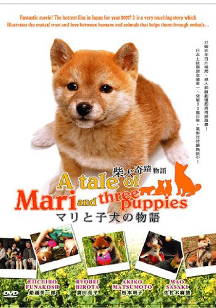 マリと子犬の物語 映画 動画配信 オンライン 視聴