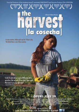 The Harvest (La Cosecha)