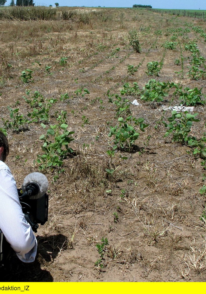 The Silence of the Pandas: What the WWF Isn’t Saying