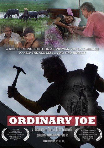 Ordinary Joe