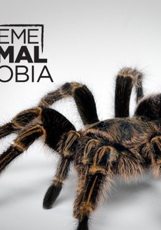 My Extreme Animal Phobia