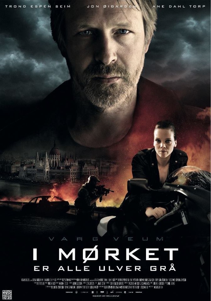 Varg Veum - Gece Tüm Kurtlar Gridir