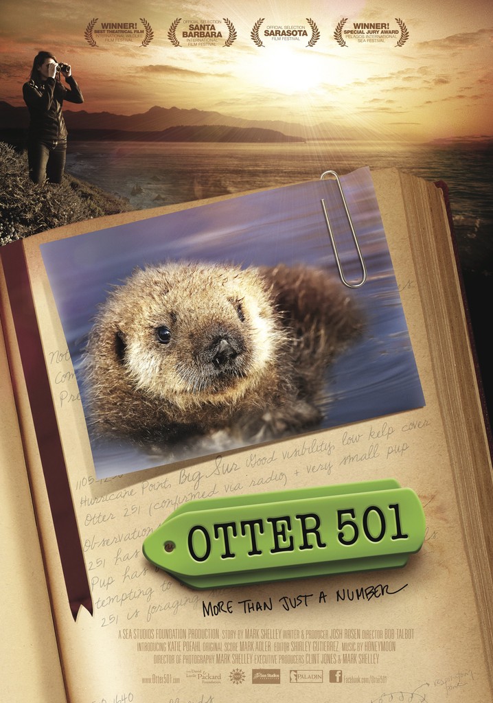 Otter 501