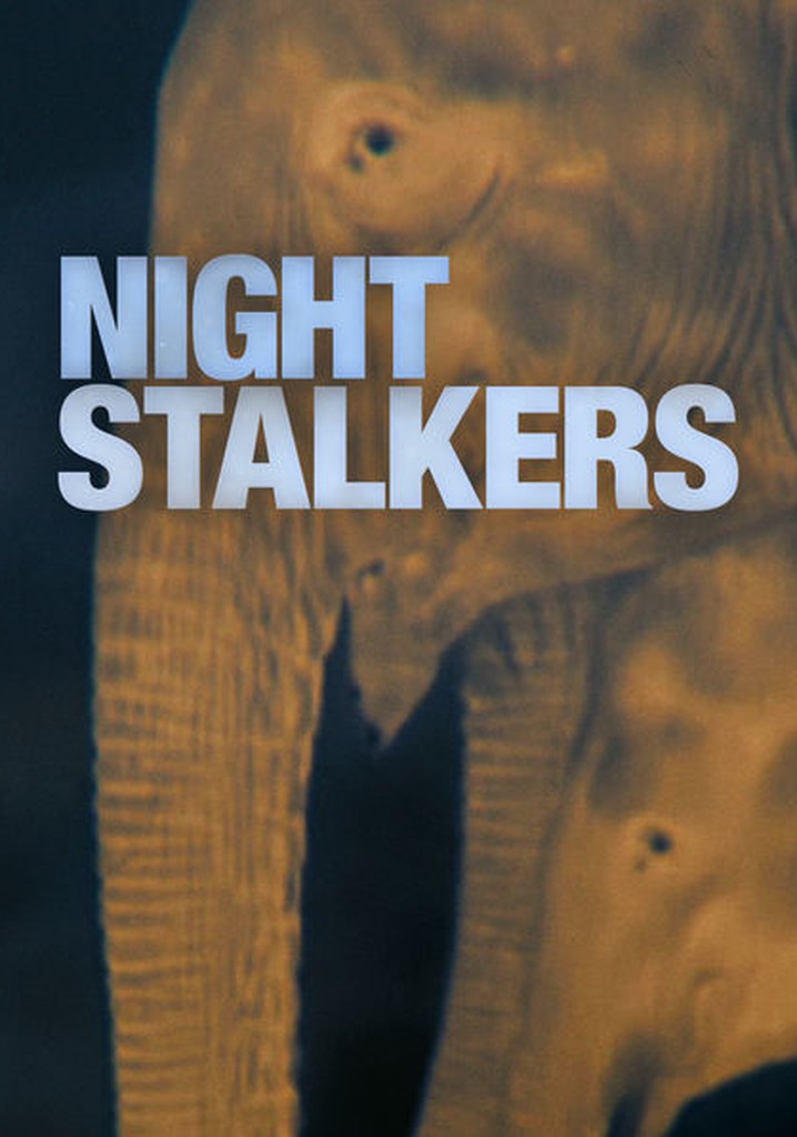 Night Stalkers - streaming tv show online