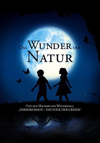 The Field of Enchantment