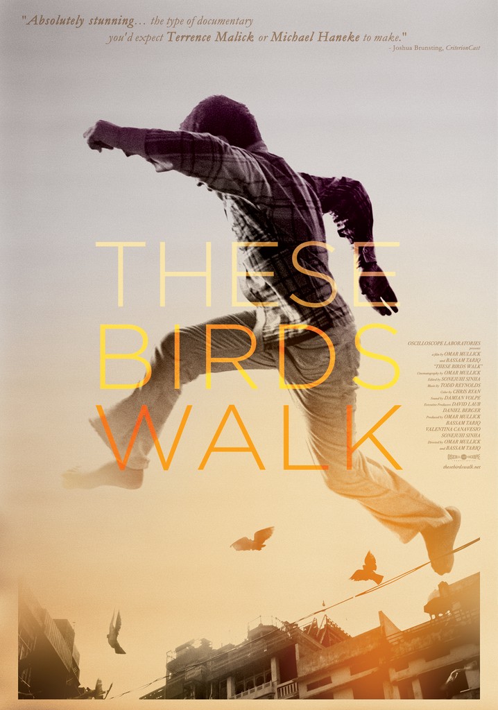 These Birds Walk