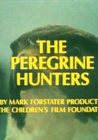 The Peregrine Hunters