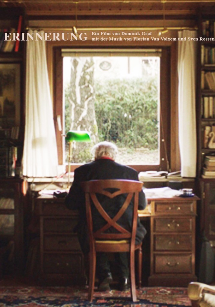 Lawinen der Erinnerung