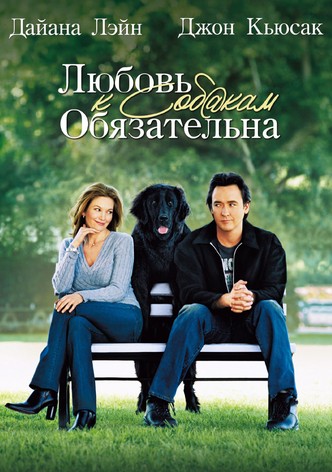 Любовь к собакам обязательна