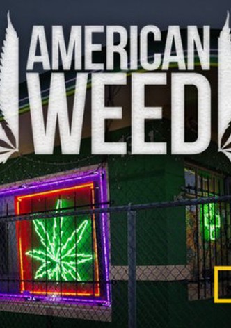 American Weed