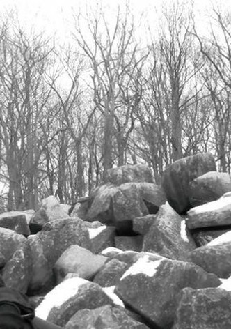 The Riverbed