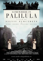 Somewhere in Palilula