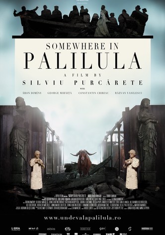 Somewhere in Palilula