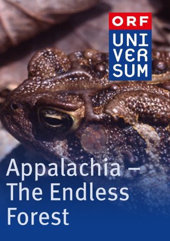 Appalachia: The Endless Forest