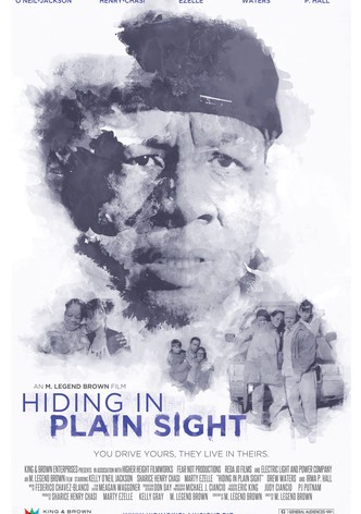 Hiding in Plain Sight