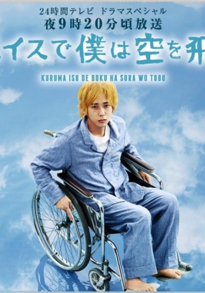 I Will Fly to the Sky on a Wheelchair