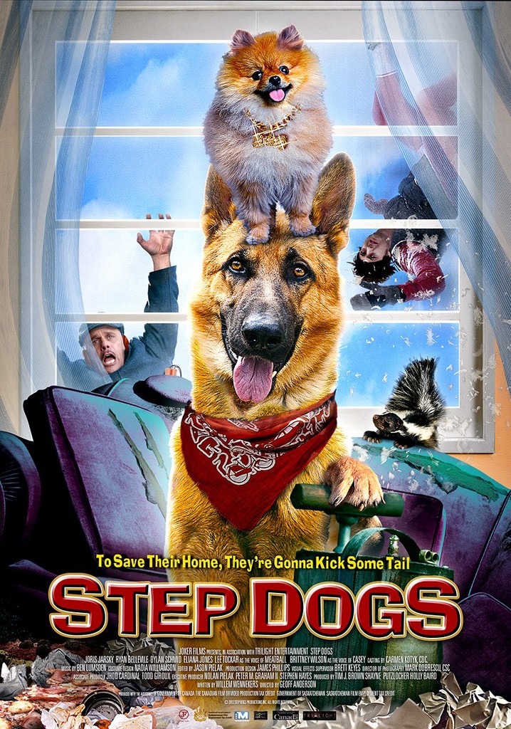 https://images.justwatch.com/poster/139170875/s718/home-alone-dogs.jpg