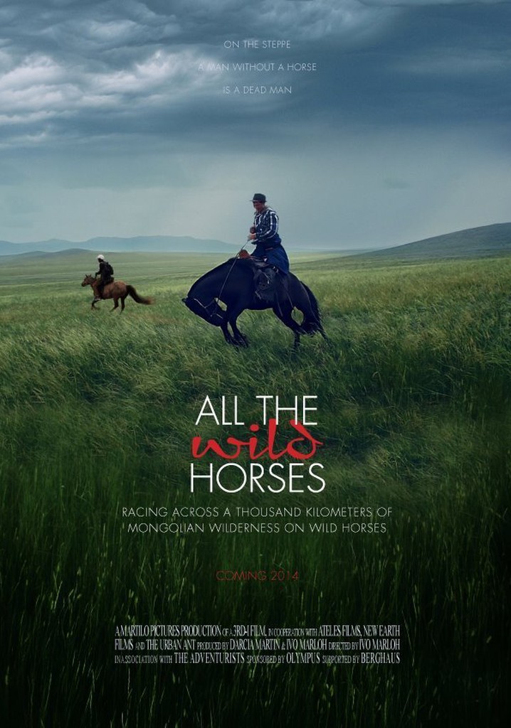 All the Wild Horses - movie: watch stream online