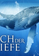 Adventure Ocean Quest