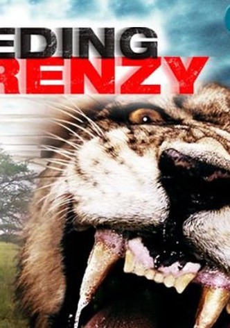 Feeding Frenzy
