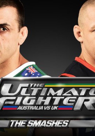 The ultimate fighter season 1 clearance stream