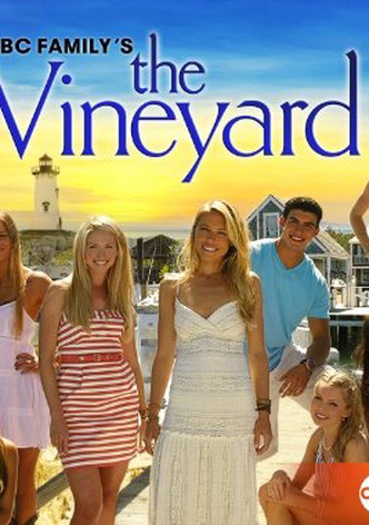 The Vineyard
