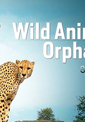Wild Animal Orphans