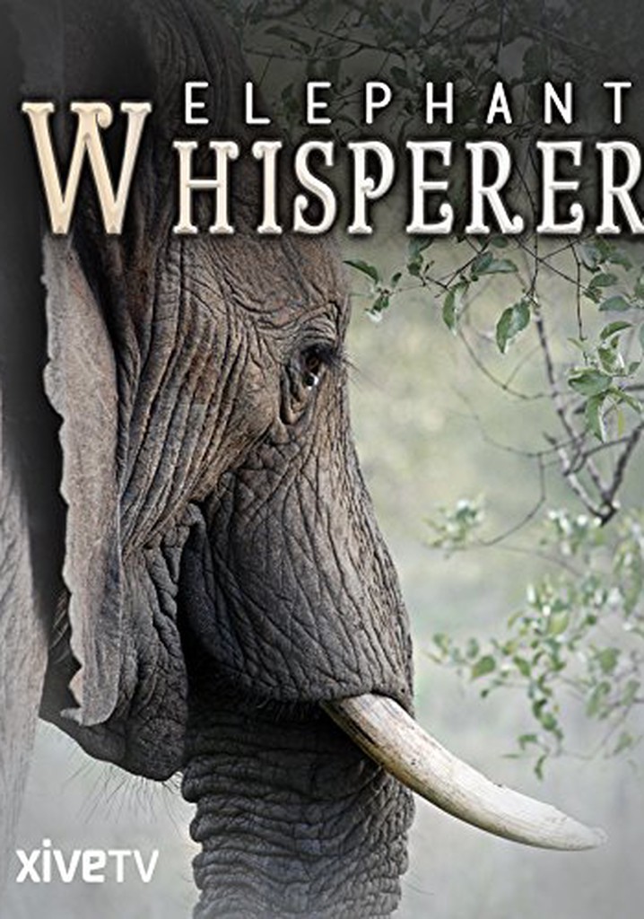 Elephant Whisperer streaming: where to watch online?