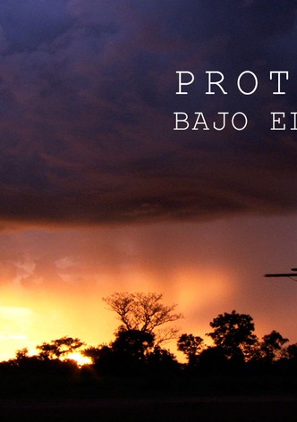 Proteger bajo el fuego