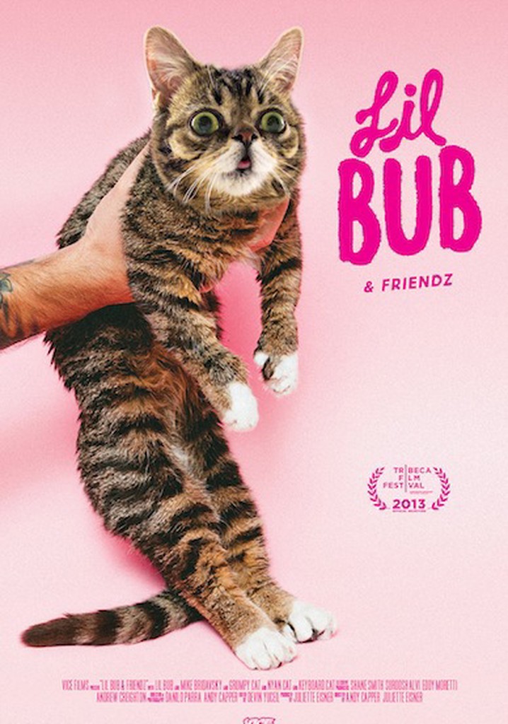 Lil Bub & Friendz