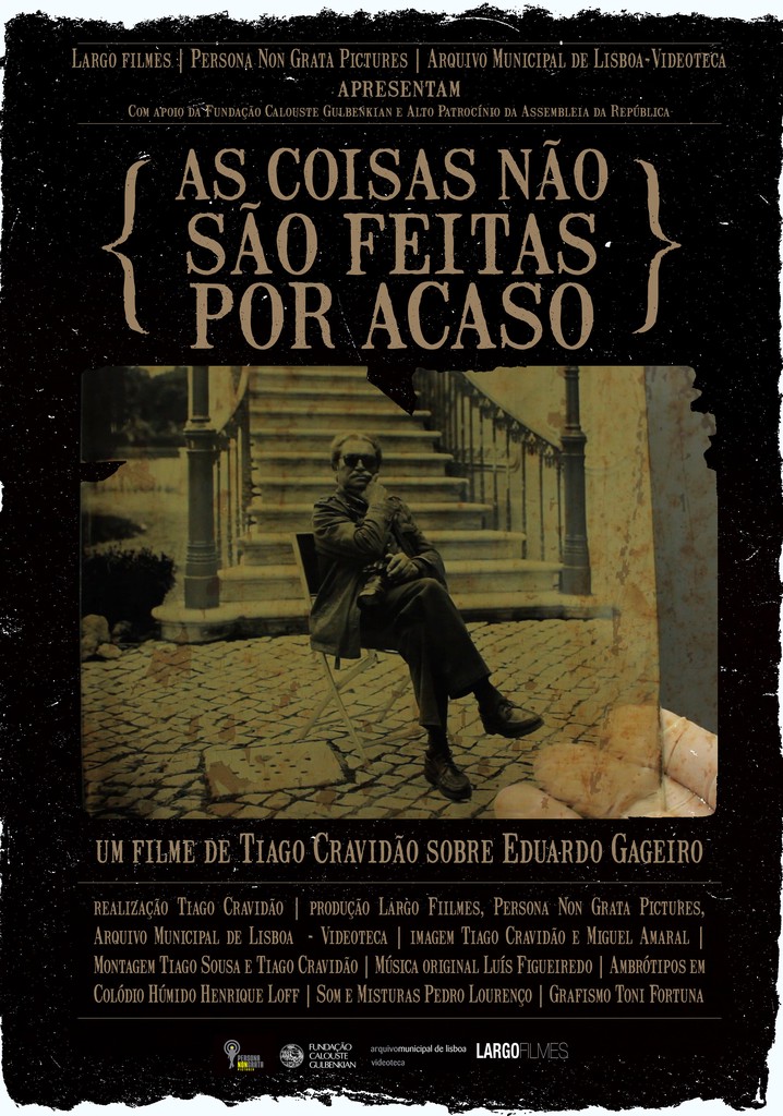 As coisas não são feitas por acaso