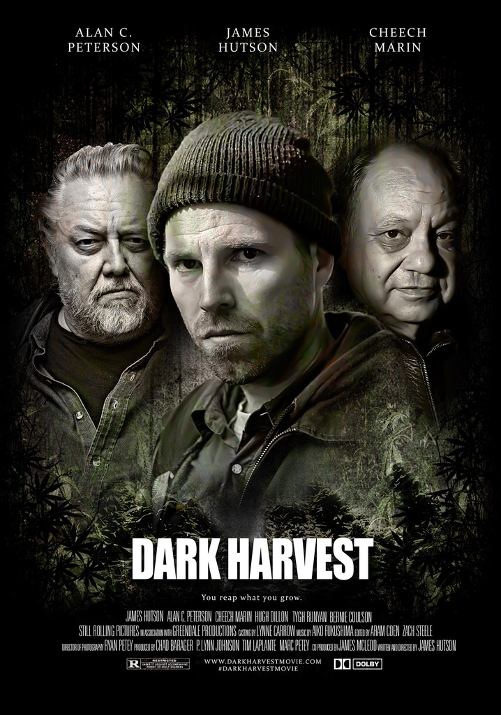 Dark Harvest streaming where to watch movie online?