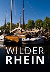Wilder Rhein