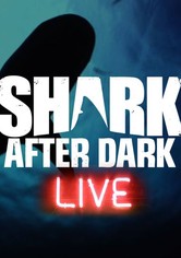 Shark After Dark