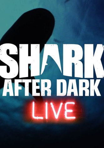 Shark After Dark