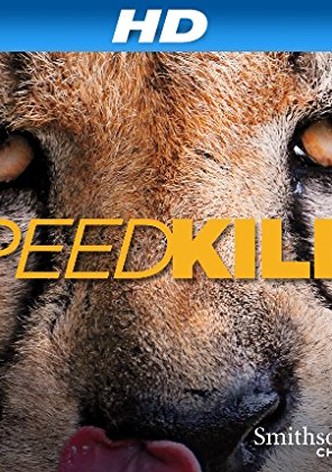 Speed Kills