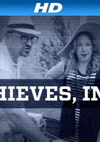 Thieves Inc