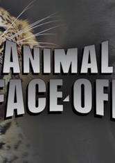 Animal Face-Off