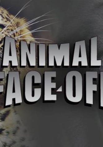 Animal Face-Off