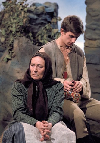 O spící princezne, sípkových ruzích a urazené víle