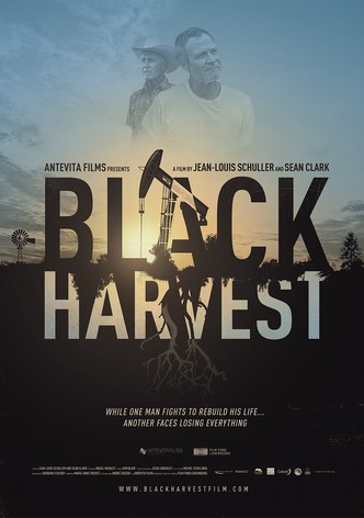 Black Harvest