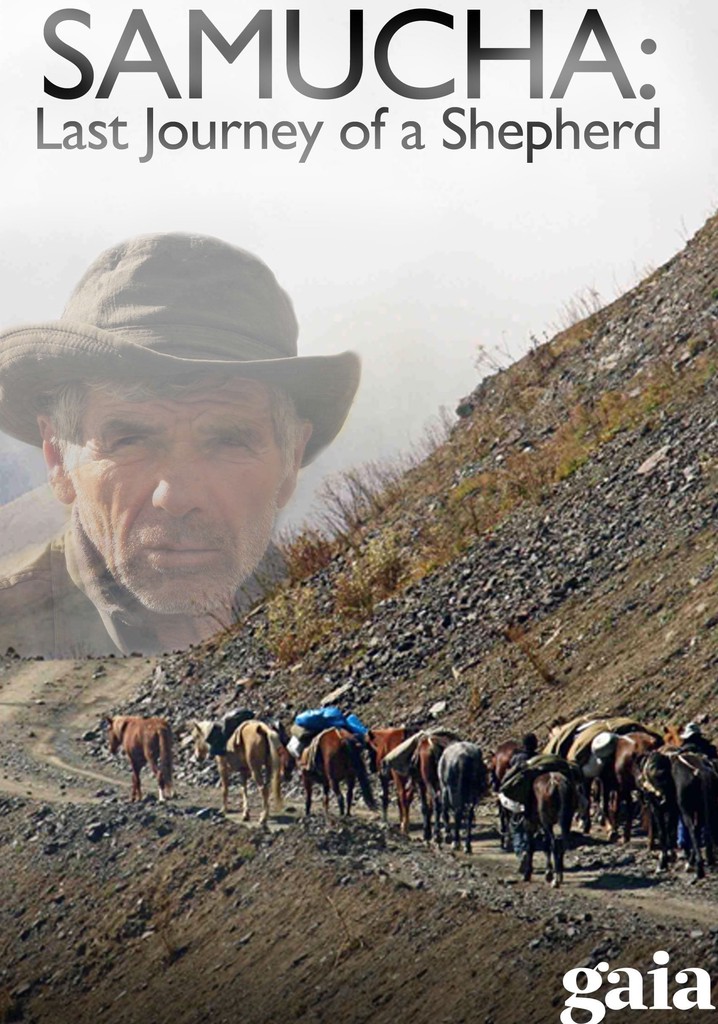 Samucha: Last Journey of a Shepherd